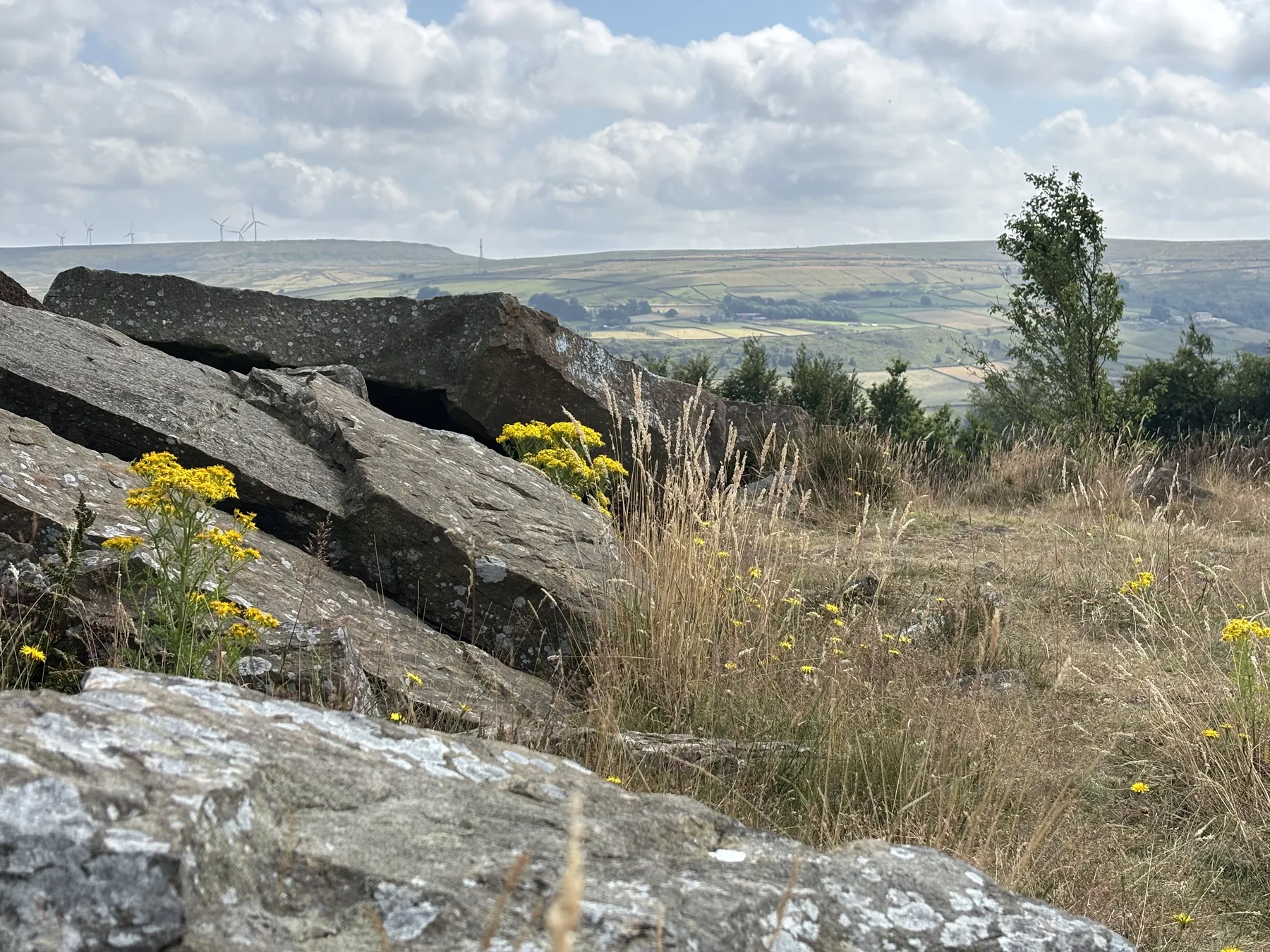 Wild moorland near Haworth in Brontë Country